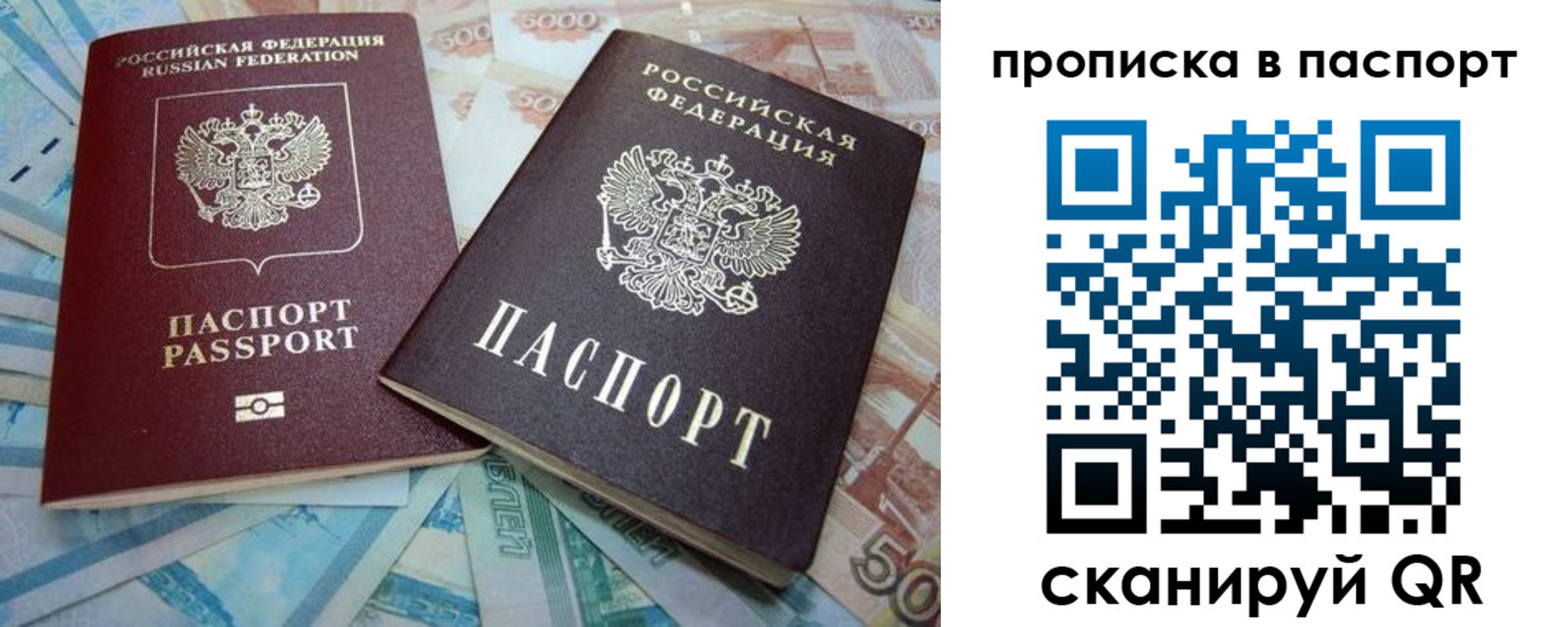 прописка поиск в Пионерском